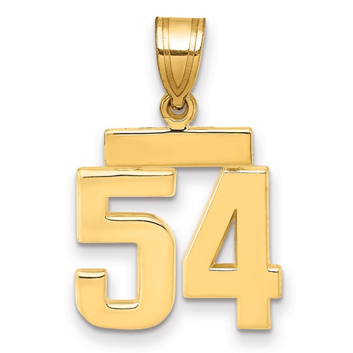 14K Yellow Gold Small Polished Number 54 Charm