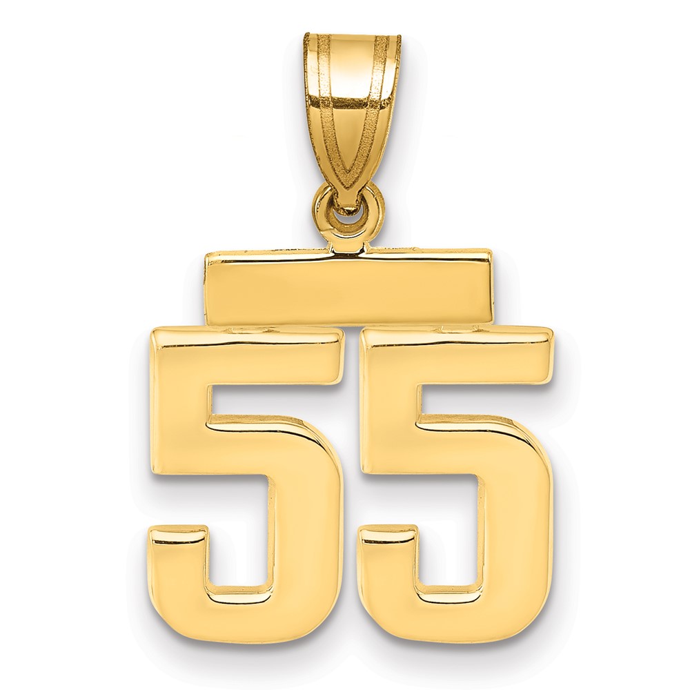 14K Yellow Gold Small Polished Number 55 Charm
