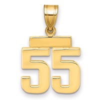14K Yellow Gold Small Polished Number 55 Charm view 1