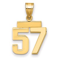 14K Yellow Gold Small Polished Number 57 Charm view 1
