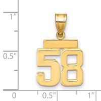 14K Yellow Gold Small Polished Number 58 Charm view 2