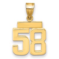 14K Yellow Gold Small Polished Number 58 Charm view 1