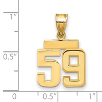 14K Yellow Gold Small Polished Number 59 Charm view 2