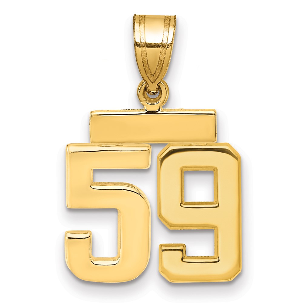 14K Yellow Gold Small Polished Number 59 Charm