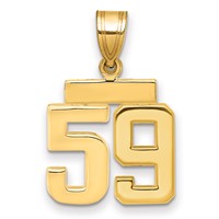 14K Yellow Gold Small Polished Number 59 Charm view 1