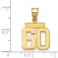 14K Yellow Gold Small Polished Number 60 Charm view 2