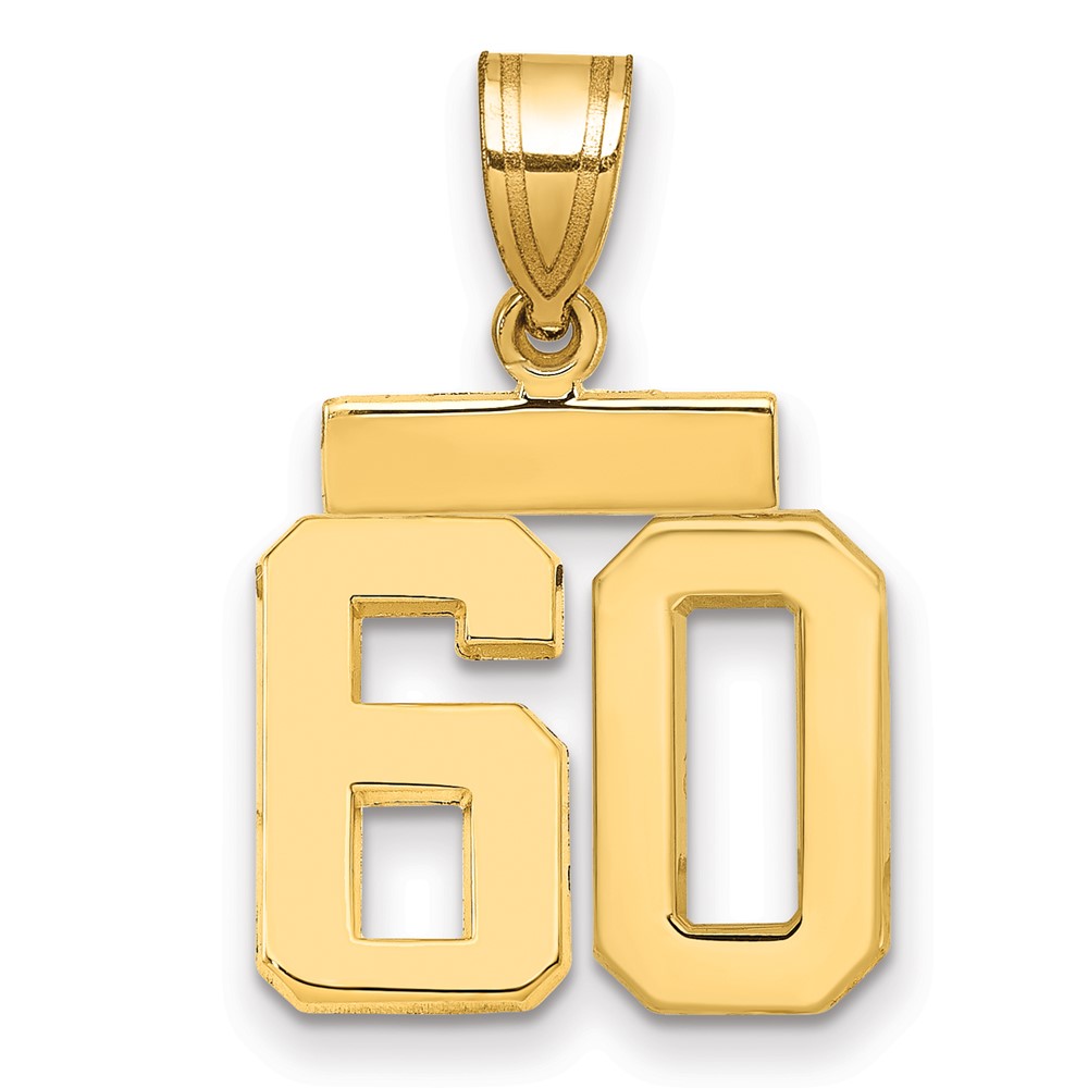 14K Yellow Gold Small Polished Number 60 Charm