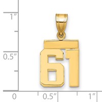 14K Yellow Gold Small Polished Number 61 Charm view 2