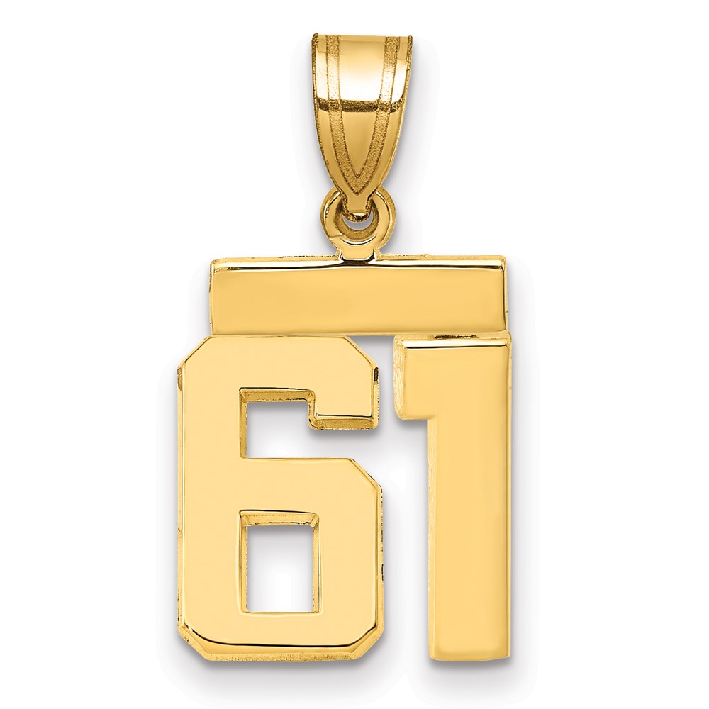 14K Yellow Gold Small Polished Number 61 Charm
