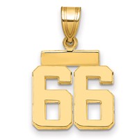 14K Yellow Gold Small Polished Number 66 Charm view 1
