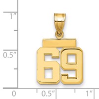 14K Yellow Gold Small Polished Number 69 Charm view 2