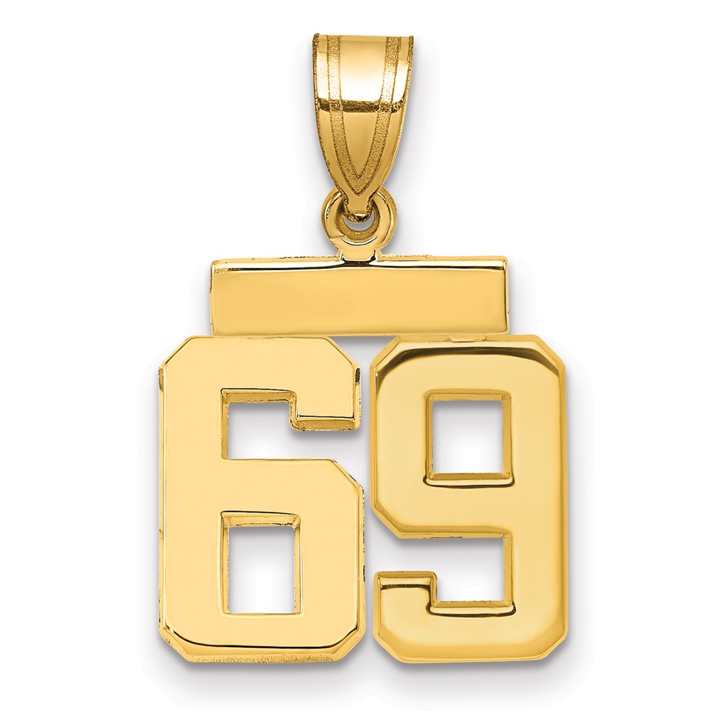 14K Yellow Gold Small Polished Number 69 Charm