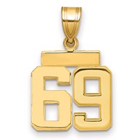 14K Yellow Gold Small Polished Number 69 Charm view 1