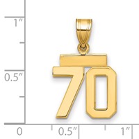 14K Yellow Gold Small Polished Number 70 Charm view 2