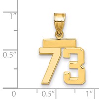 14K Yellow Gold Small Polished Number 73 Charm view 2