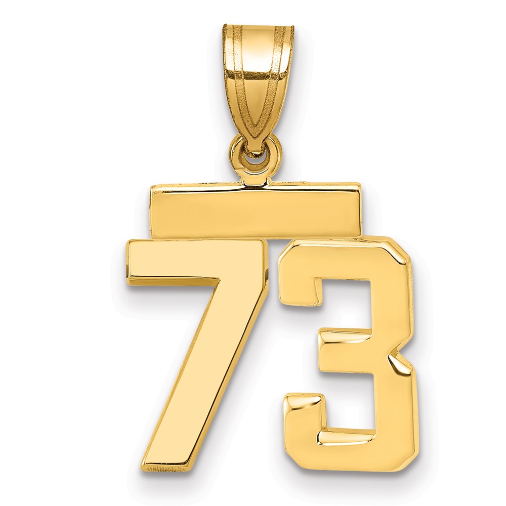 14K Yellow Gold Small Polished Number 73 Charm