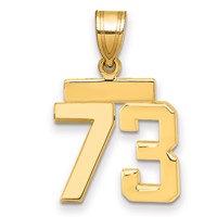 14K Yellow Gold Small Polished Number 73 Charm view 1