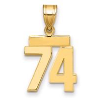 14K Yellow Gold Small Polished Number 74 Charm view 1