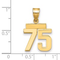 14K Yellow Gold Small Polished Number 75 Charm view 2