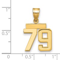14K Yellow Gold Small Polished Number 79 Charm view 2