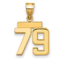 14K Yellow Gold Small Polished Number 79 Charm view 1