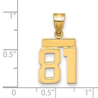 14K Yellow Gold Small Polished Number 81 Charm view 2