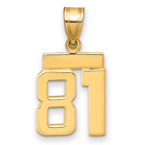 14K Yellow Gold Small Polished Number 81 Charm