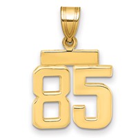 14K Yellow Gold Small Polished Number 85 Charm view 1