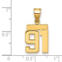 14K Yellow Gold Small Polished Number 91 Charm view 2