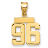 14K Yellow Gold Small Polished Number 96 Charm view 1