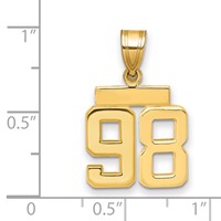 14K Yellow Gold Small Polished Number 98 Charm view 2