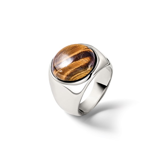 Chisel Stainless Steel Polished Tiger's Eye Ring