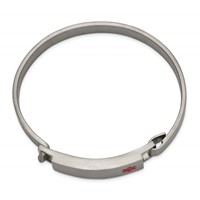 Chisel Stainless Steel Brushed Bangle with Red Enamel 8.00mm Medical ID view 2