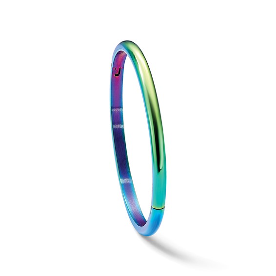 Chisel Stainless Steel Polished Rainbow IP-plated 4mm Hinged Bangle
