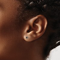 Chisel Stainless Steel Polished 3mm Black Round CZ Stud Post Earrings view 4