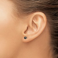 Chisel Stainless Steel Polished 4mm Black Round CZ Stud Post Earrings view 4