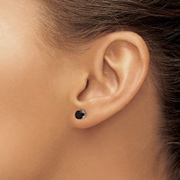 Chisel Stainless Steel Polished 5mm Black Round CZ Stud Post Earrings view 4