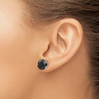 Chisel Stainless Steel Polished 10mm Black Round CZ Stud Post Earrings view 4