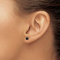 Chisel Stainless Steel Polished 4mm Black Square CZ Stud Post Earrings view 4