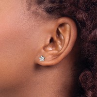 Chisel Stainless Steel Polished 5mm Star CZ Stud Post Earrings view 4