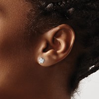 Chisel Stainless Steel Polished 6mm Star CZ Stud Post Earrings view 4