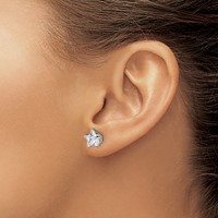 Chisel Stainless Steel Polished 8mm Star CZ Stud Post Earrings view 4