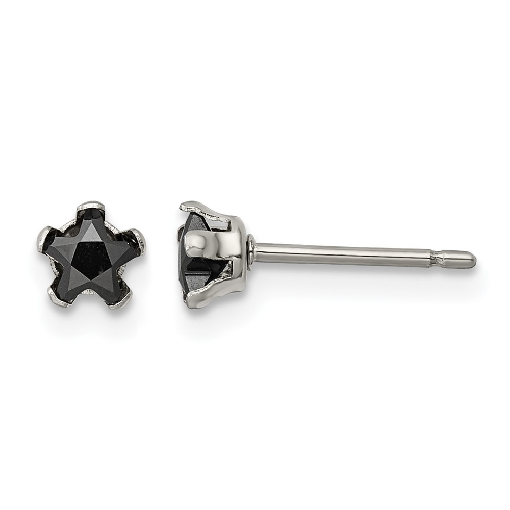 Chisel Stainless Steel Polished 4mm Black Star CZ Stud Post Earrings
