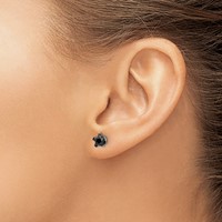 Chisel Stainless Steel Polished 6mm Black Star CZ Stud Post Earrings view 4