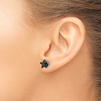 Chisel Stainless Steel Polished 8mm Black Star CZ Stud Post Earrings view 4