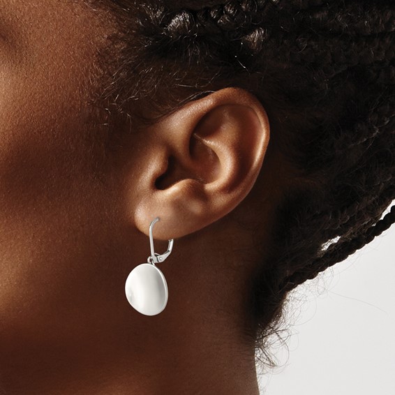 Chisel Stainless Steel Polished Curved Disk Dangle Leverback Earrings