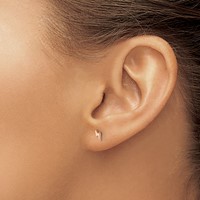 Chisel Stainless Steel Polished Rose IP-plated Lightning Bolt Post Earrings view 4