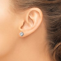 Chisel Stainless Steel Brushed Earrings with CZ Diamond-shaped Post view 4