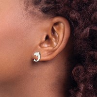 Chisel Stainless Steel Polished Dolphin Post Earrings view 4