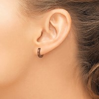 Chisel Stainless Steel Brushed Brown IP-plated 2mm Hinged Hoop Earrings view 4